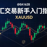 外汇交易新手入门完整指南