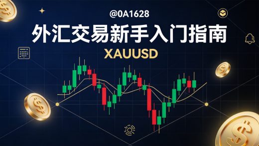 外汇交易新手入门完整指南